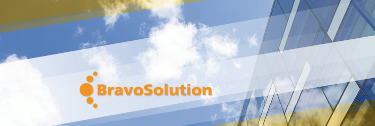 BravoSolution Partnership